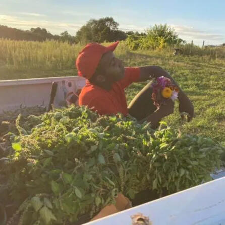 After a long day at the farm, pictured with freshly harvested tea herbs and flowers.