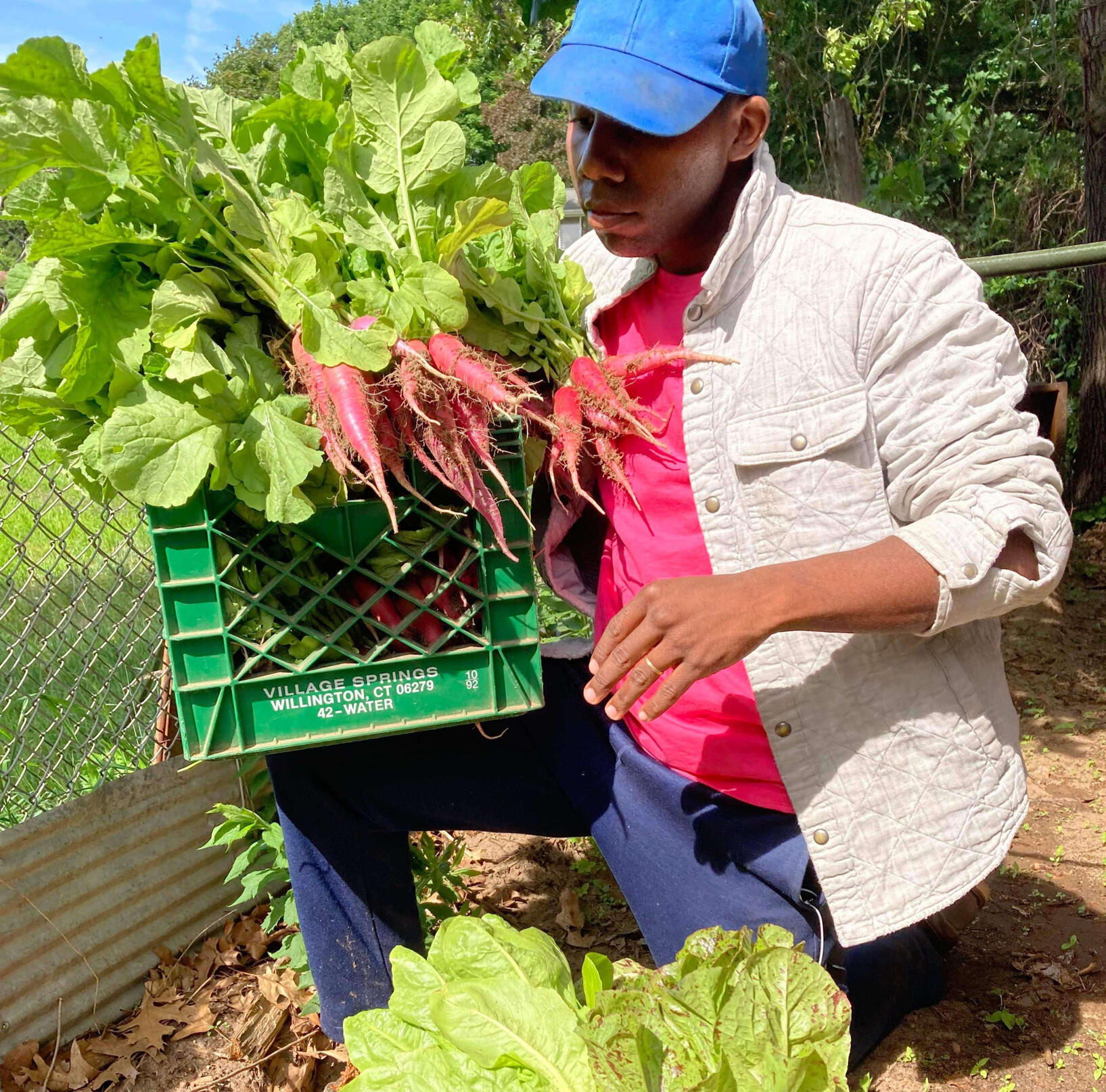 Seen with a fresh harvest at the farm.